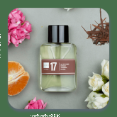 Perfume 17 60ml Contratipos, Inspirado em Gabriela Sabatini