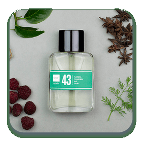 Perfume 43 60ml Contratipos, Inspirado em Diesel Fuel For Life