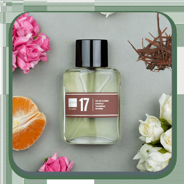 Perfume 17 60ml Contratipos, Inspirado em Gabriela Sabatini