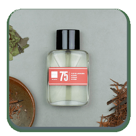 Perfume 75 60ml Contratipos, Inspirado em Anais Anais