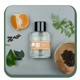Perfume 99 60ml Contratipos, Inspirado em Givenchy Play